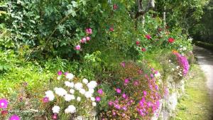 维埃拉·多米尼奥佩尼拉乡村民宿的花园里有粉红色和白色的花朵