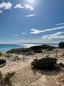 Es ArenalsArenas del Mar Formentera的海滩与大海相映成趣