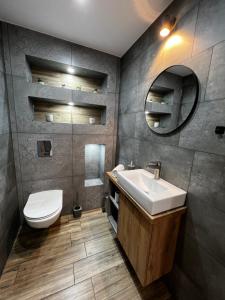 扎莫希奇Domek 104的一间带水槽、卫生间和镜子的浴室