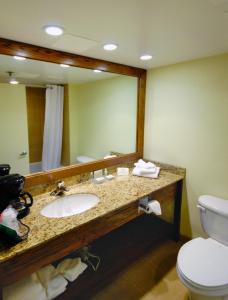 迈尔斯堡迈尔斯堡市中心区假日酒店的一间带水槽、卫生间和镜子的浴室