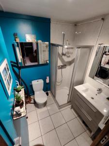 Gîte du Moulin de Tart le Bas的浴室配有卫生间、淋浴和盥洗盆。