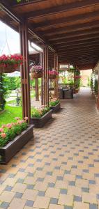 普洛耶什蒂亚鲁斯酒店的一座种植了鲜花和植物的庭院