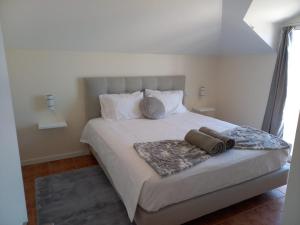 阿科达卡列塔Casa Dos Ramos的一间卧室配有一张大床和两个枕头