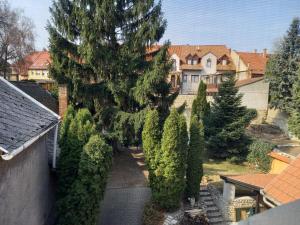 埃格尔欧罗巴住宿加早餐旅馆的享有带树木和房屋的庭院的顶部景色