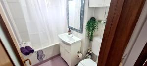 布加勒斯特Perfect View Apartament的一间带水槽、卫生间和镜子的浴室