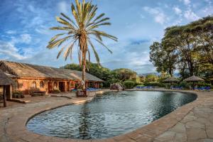 安博塞利安博塞利索帕山林小屋的一个带游泳池和棕榈树的度假村