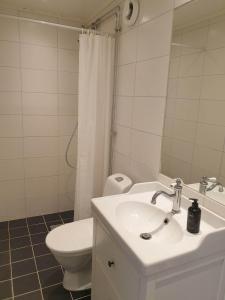 瑟德港Välrenoverad fin lägenhet i charmigt område的一间带水槽、卫生间和镜子的浴室