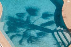 昂蒂布币奥酒店 - 昂蒂布海角的游泳池里一个人在自行车上的阴影