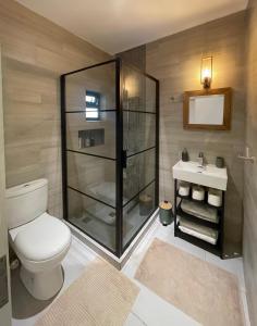 La CavernePhoenix Valley Suite - Exclusive Apartment + Pool的带淋浴、卫生间和盥洗盆的浴室