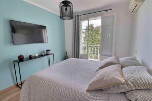 阿雅克修Charmant T2 Climatisé avec Parking的一间卧室设有一张带电视和窗户的床。