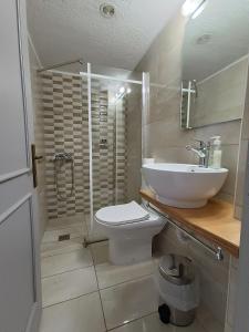 伊罗达Emilia Apartments的一间带水槽、卫生间和淋浴的浴室