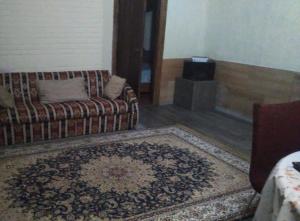 阿拉木图Panorama Hills的带沙发和地毯的客厅