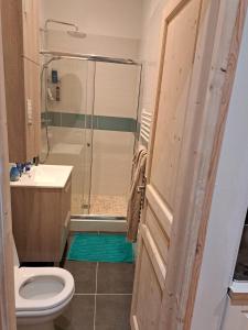 拉西约塔Renovated fully equipped studio for 2 to 4 pers的带淋浴、卫生间和盥洗盆的浴室