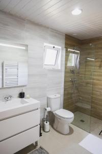 蓬德利马Casa Vilar的浴室配有卫生间、淋浴和盥洗盆。