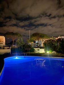 马拉加Tranquility studio apartment的一座树木环绕的夜间游泳池