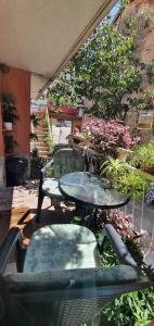 莫斯塔尔Hostel Lena-Mostar的庭院配有桌椅和植物