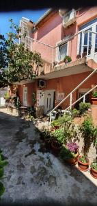 莫斯塔尔Hostel Lena-Mostar的前面有盆栽植物的房子