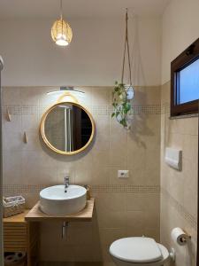 米内尔维诺迪莱切齐奥西西住宿加早餐旅馆的一间带水槽、卫生间和镜子的浴室