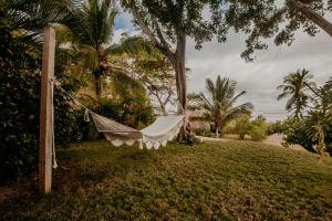 坎布塔尔Sansara Surf Yoga & Resort的吊床挂在院子里的树上
