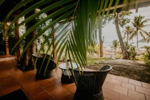 坎布塔尔Sansara Surf Yoga & Resort的一群盆栽植物在带海滩的庭院里