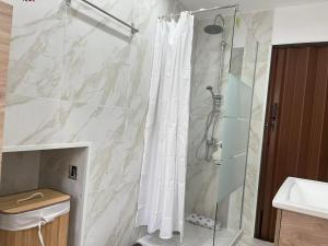 AglantziaLuxurious 1-Bedroom Guesthouse的带淋浴和浴帘的浴室
