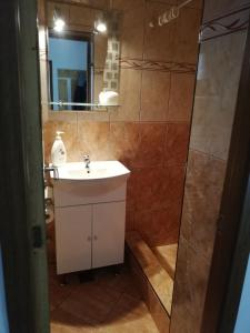锡纳亚Casa Din Padure的浴室配有盥洗盆和带镜子的淋浴