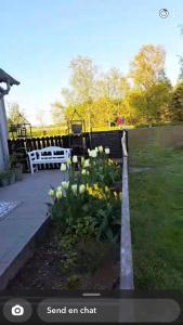 吉弗Hyggelig ferielejlighed i Harresø的院子里种着黄色和白色花的花园