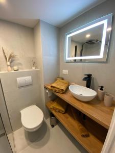 卡普戴尔Appartements neuf - Frontière de Monaco - clim - WIFI的一间带水槽、卫生间和镜子的浴室