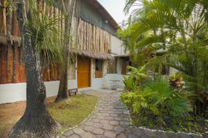 坎昆OMA CANCUN - Holistic Healing Center的棕榈树和步道的庭院