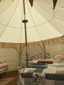 金斯布里奇Horsemans Stargazing Tent的床上有白色的伞