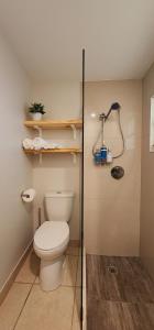 Opa-lockaPrivate Aparment Studio in the hard of Miami unit # 6的浴室配有白色卫生间和淋浴。