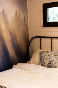 Sosnowy Strumyk的一间卧室配有一张床,墙上挂着绘画作品