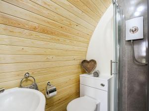 拉努辛Celyn Bach - Uk37083的一间带卫生间和淋浴的小浴室