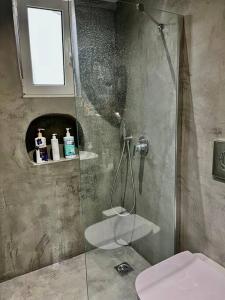 雅典Urban escape in Athens的带淋浴、卫生间和盥洗盆的浴室