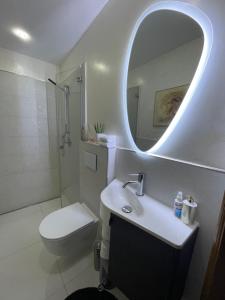 科隆Airport Rooms Waldblick的一间带水槽、卫生间和镜子的浴室