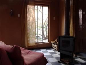 AlcoguazAlcohuaz Indomito的客厅设有壁炉和窗户。