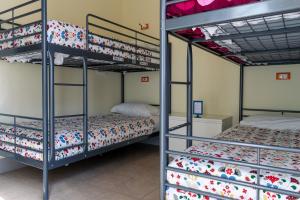 比萨比萨斜塔旅馆的配有2张双层床的宿舍间
