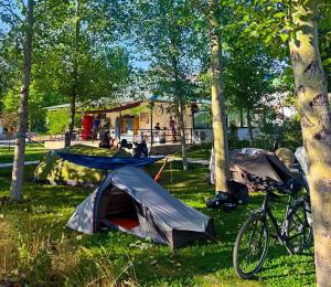 叶海格纳佐尔Crossway Camping的一群在树边的草上搭帐篷