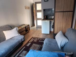梅尔诺Pensjonat Basia的客厅配有2张蓝色沙发和1台电视