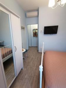 阿西亚罗利B&B PLANO DE LACZARULO的一间卧室配有一张床,墙上配有电视