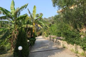 帕尔加Dafni studios no6的一条穿过种有棕榈树和植物的花园的小路