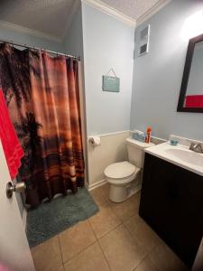 默特尔比奇C Level Condo的一间带卫生间和淋浴帘的浴室
