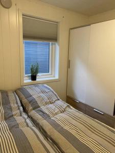 奥勒松Ny rorbu ved sjøen, sentralt på Sunnmøre的一间卧室设有一张大床和一个窗户。