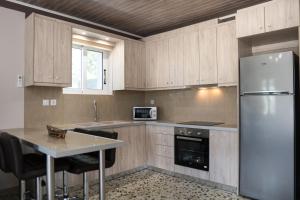 伊奥斯克里克斯Nafsika House的厨房配有不锈钢冰箱和桌子