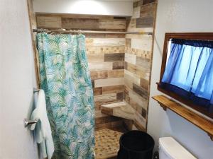 六月湖Rr-gull Lake Baby House的带淋浴的浴室和木墙