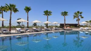 阿布扎比InterContinental Residences Abu Dhabi, an IHG Hotel的一个带椅子的游泳池,棕榈树