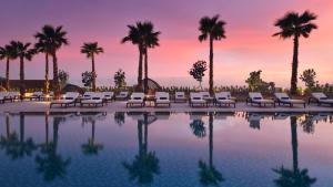 阿布扎比InterContinental Residences Abu Dhabi, an IHG Hotel的日落时分带椅子和棕榈树的游泳池