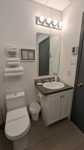 圣西蒙Motel Gentilhommière的一间带卫生间、水槽和镜子的浴室