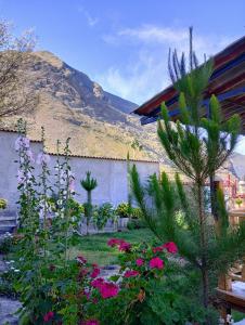 塔尔马La Finca Tarma的一座种满鲜花的花园,一座山 ⁇ 的背景