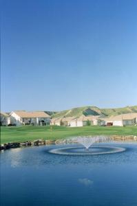莱斯布里奇Paradise Canyon Golf Resort, Signature Walkout Condo 382的池塘中央的喷泉